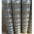 Hot Dipped Galvanized Knot Fixed Field Netting Deer Fence